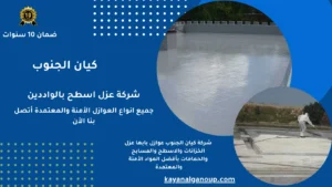 شركة عزل اسطح بالواديين